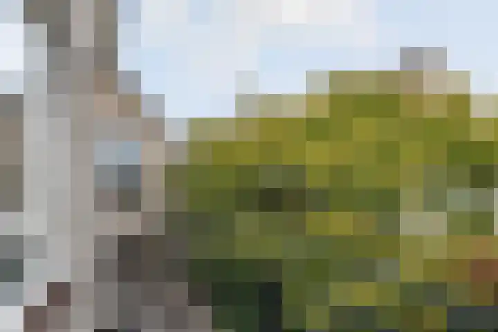 Opaal 27 Eindhoven thumbnail 35