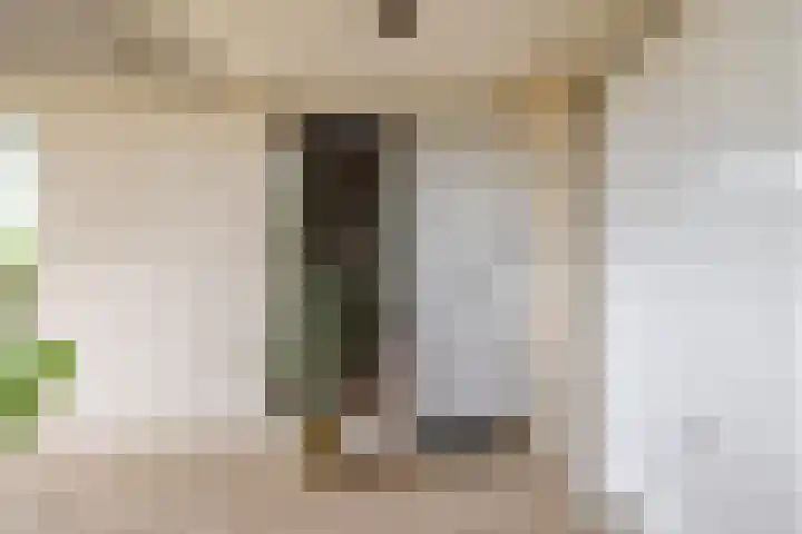 Opaal 27 Eindhoven thumbnail 4
