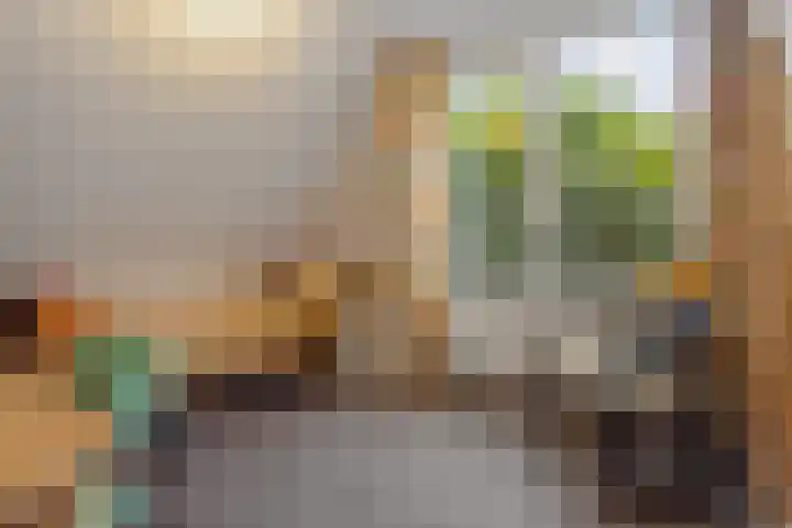 Opaal 27 Eindhoven thumbnail 40