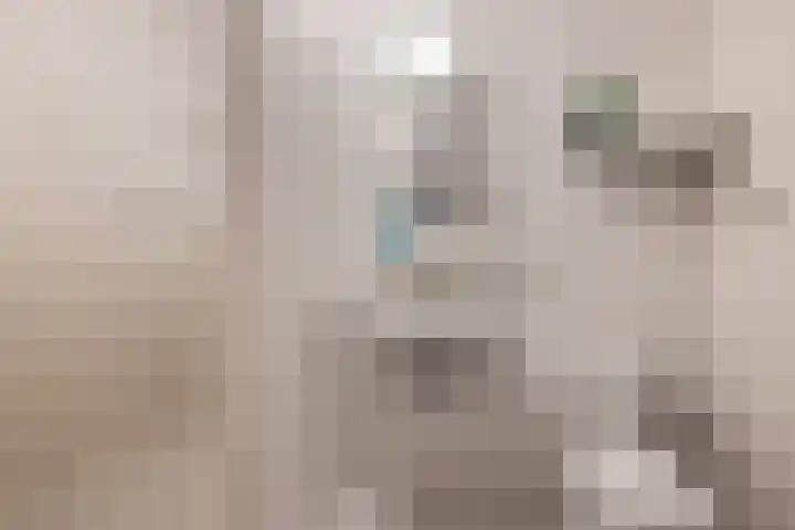 Opaal 27 Eindhoven thumbnail 45
