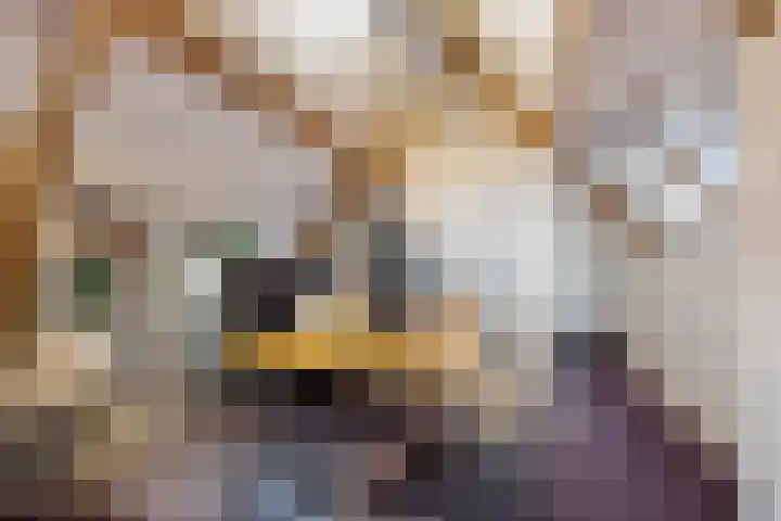 Opaal 27 Eindhoven thumbnail 49