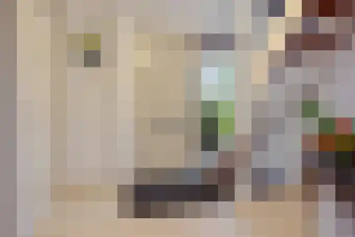 Opaal 27 Eindhoven thumbnail 5