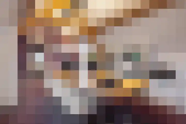 Opaal 27 Eindhoven thumbnail 50