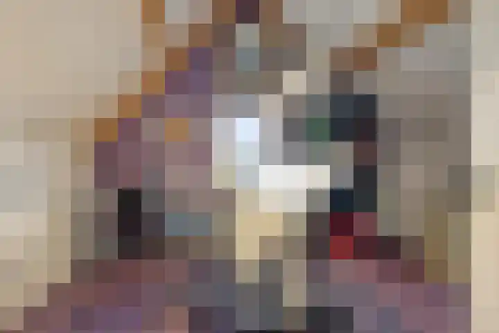 Opaal 27 Eindhoven thumbnail 51