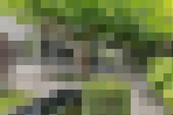 Opaal 27 Eindhoven thumbnail 52