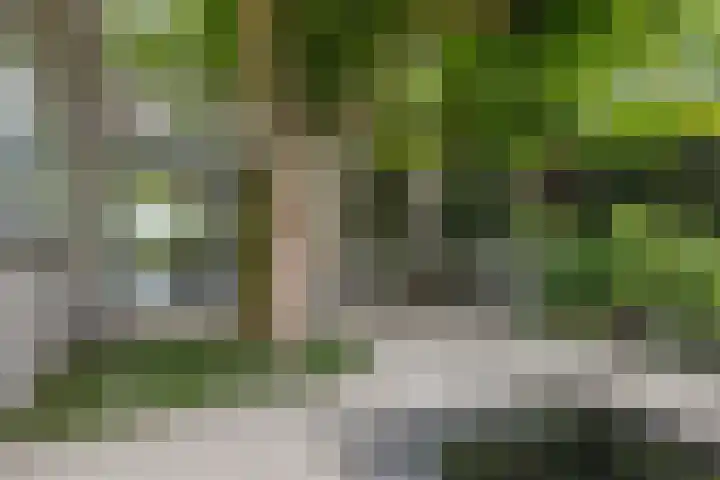 Opaal 27 Eindhoven thumbnail 53