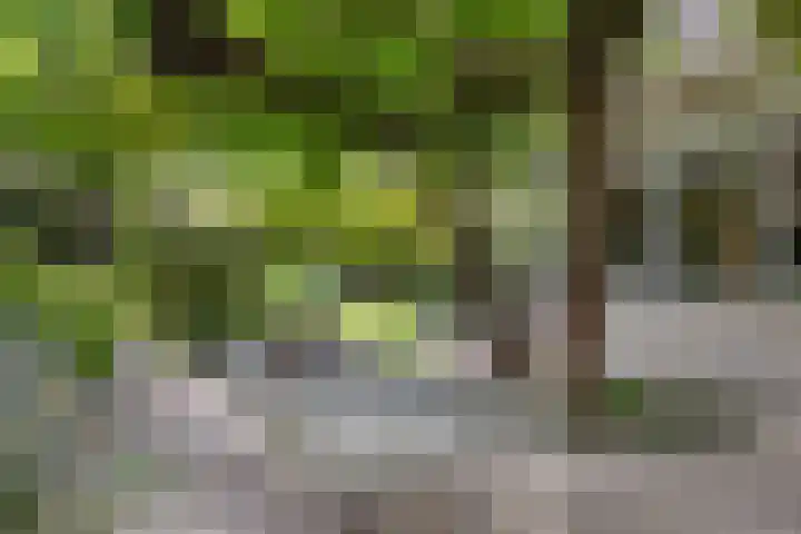 Opaal 27 Eindhoven thumbnail 54