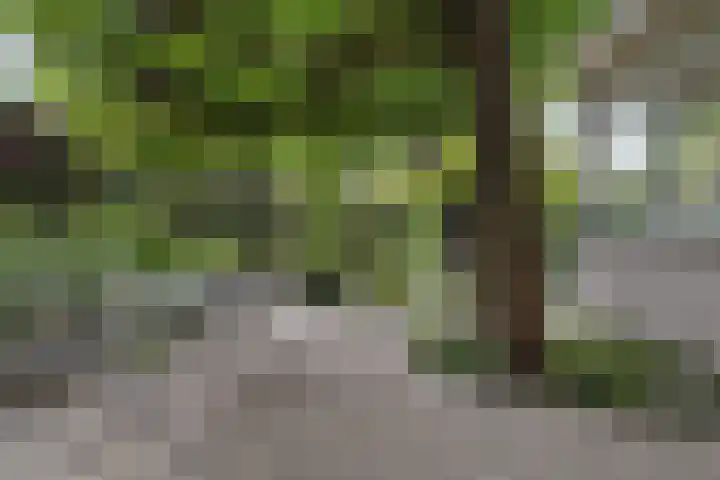 Opaal 27 Eindhoven thumbnail 55