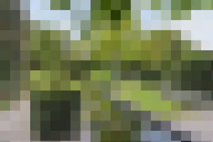 Opaal 27 Eindhoven thumbnail 56