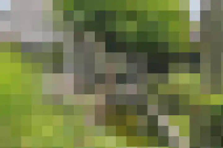 Opaal 27 Eindhoven thumbnail 57