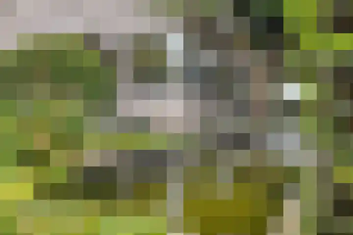 Opaal 27 Eindhoven thumbnail 58