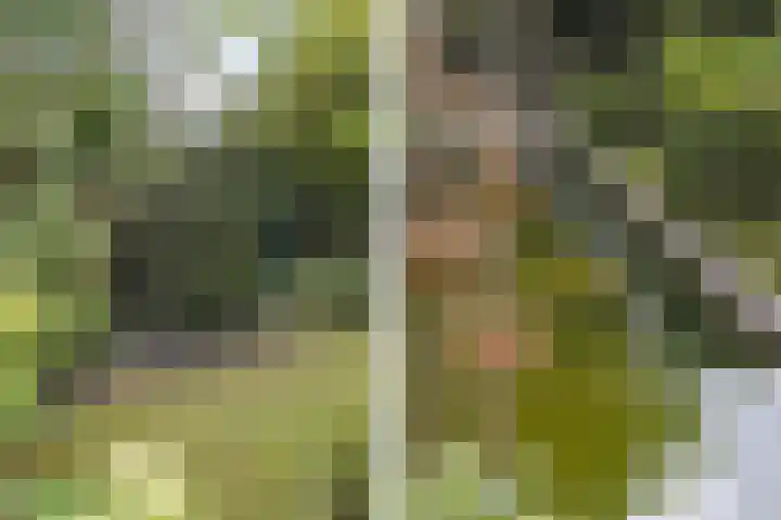 Opaal 27 Eindhoven thumbnail 59