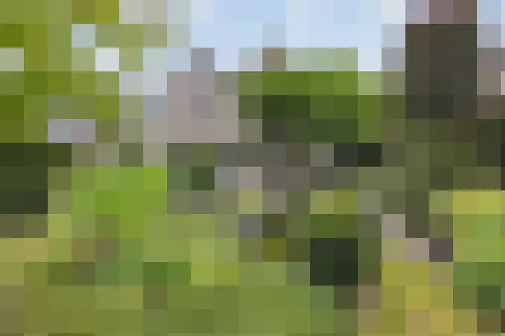 Opaal 27 Eindhoven thumbnail 60