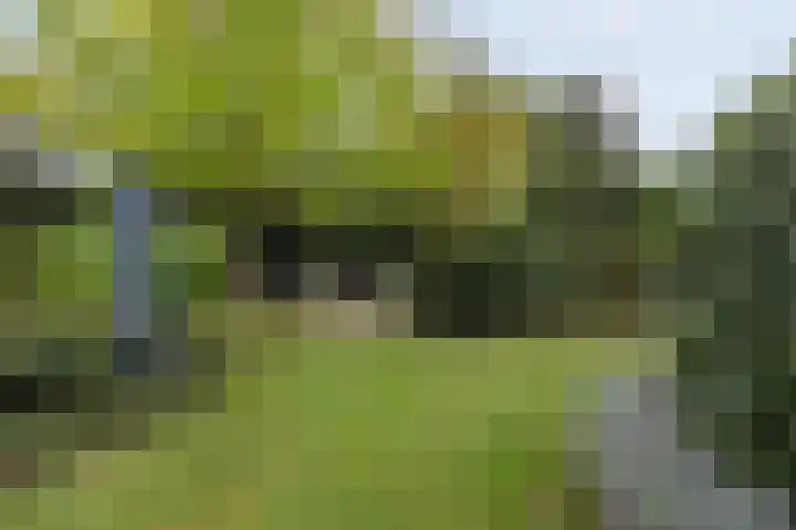 Opaal 27 Eindhoven thumbnail 61