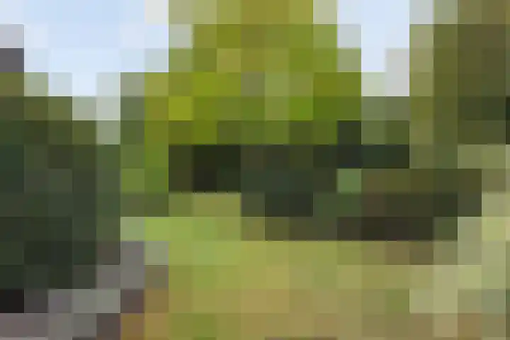 Opaal 27 Eindhoven thumbnail 62