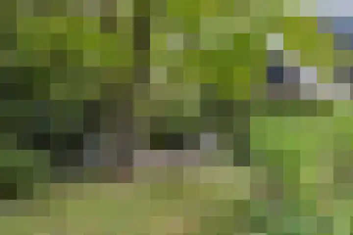 Opaal 27 Eindhoven thumbnail 63