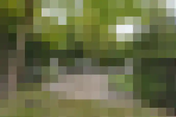 Opaal 27 Eindhoven thumbnail 64