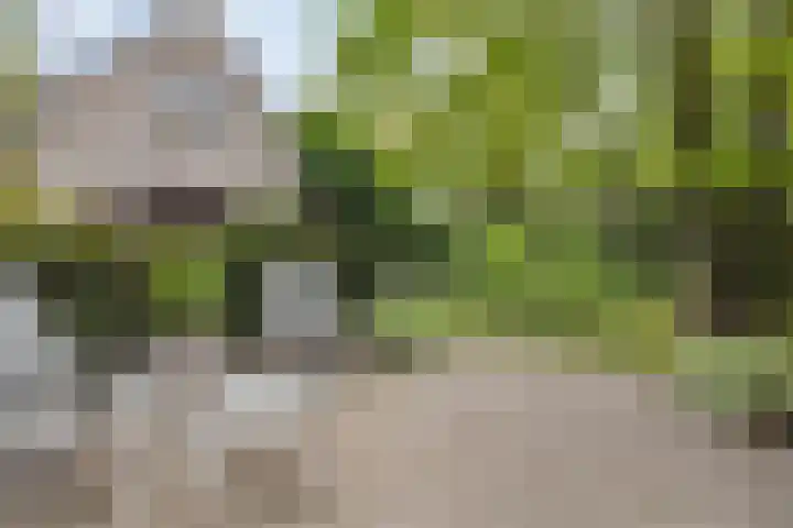 Opaal 27 Eindhoven thumbnail 65