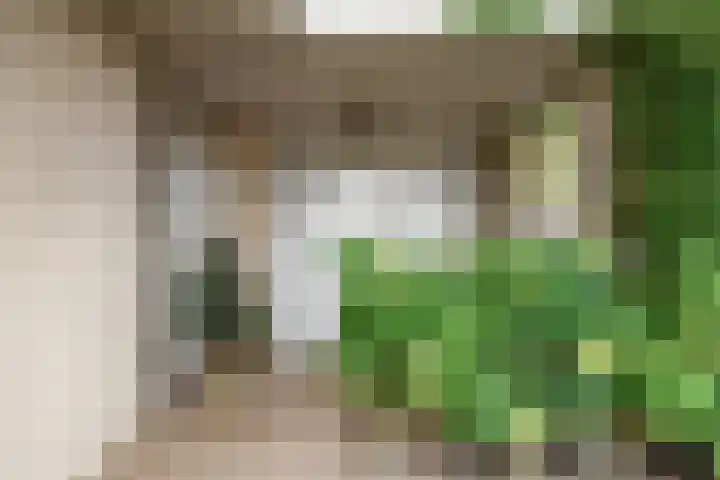 Opaal 27 Eindhoven thumbnail 66
