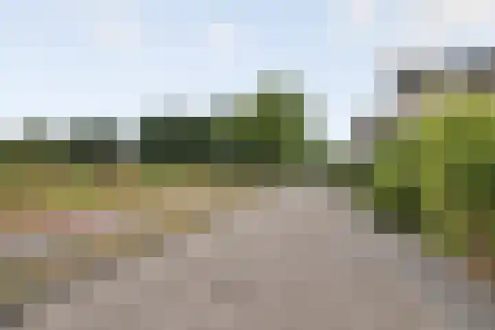 Opaal 27 Eindhoven thumbnail 67