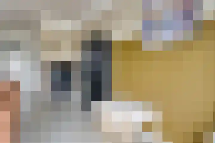 Opaal 5 Roelofarendsveen thumbnail 10
