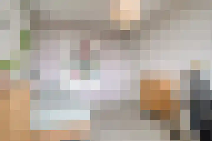 Opaal 5 Roelofarendsveen thumbnail 15