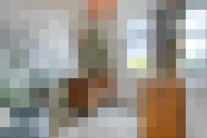 Opaal 5 Roelofarendsveen thumbnail 16