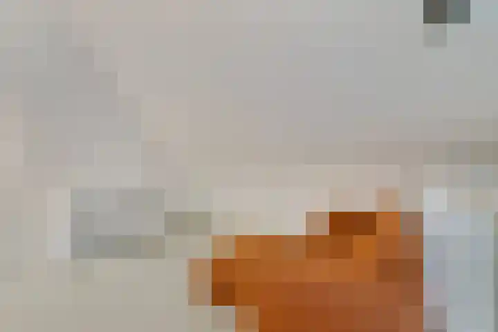 Opaal 5 Roelofarendsveen thumbnail 20