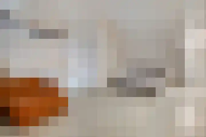 Opaal 5 Roelofarendsveen thumbnail 21