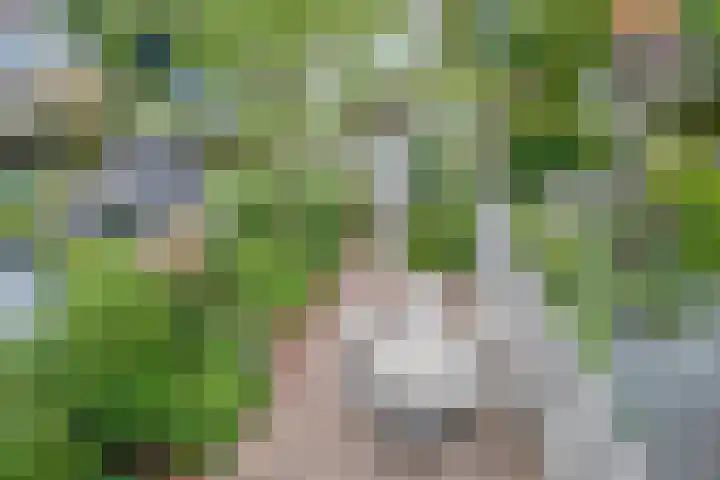 Opaal 5 Roelofarendsveen thumbnail 22