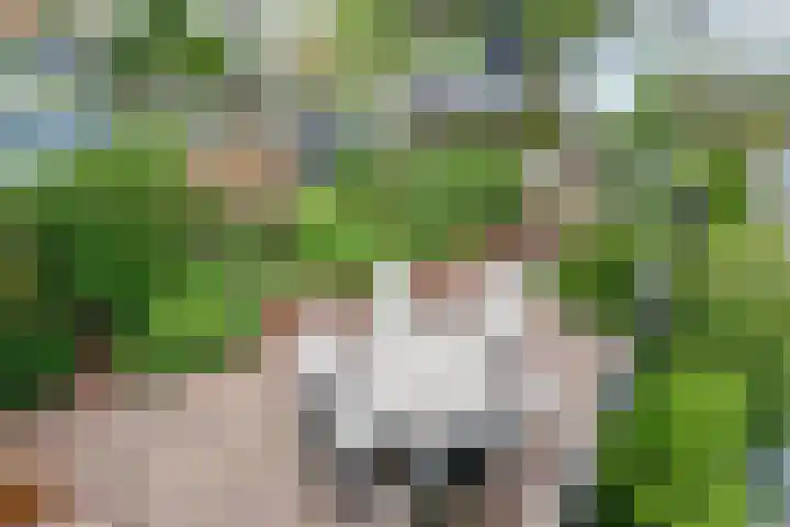 Opaal 5 Roelofarendsveen thumbnail 23