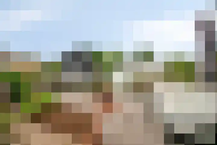 Opaal 5 Roelofarendsveen thumbnail 26