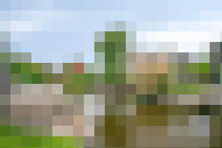 Opaal 5 Roelofarendsveen thumbnail 28
