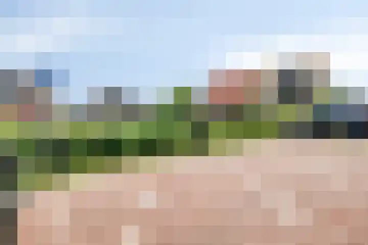 Opaal 5 Roelofarendsveen thumbnail 31