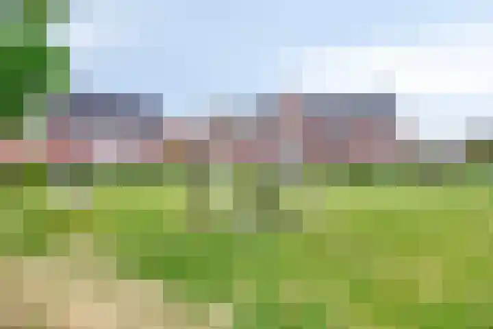 Opaal 5 Roelofarendsveen thumbnail 32
