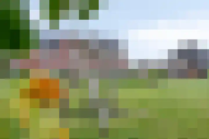 Opaal 5 Roelofarendsveen thumbnail 33