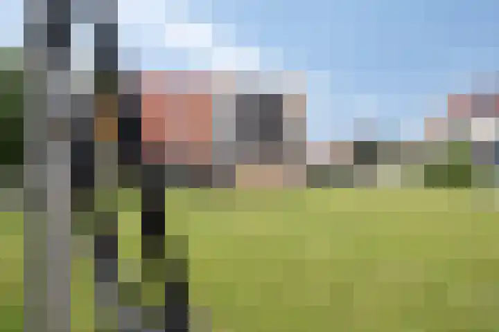 Opaal 5 Roelofarendsveen thumbnail 34