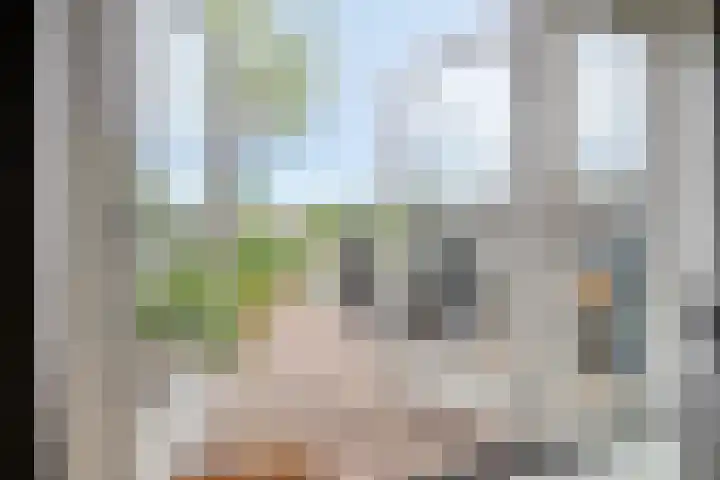 Opaal 5 Roelofarendsveen thumbnail 6