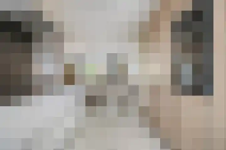 Opaal 5 Roelofarendsveen thumbnail 9