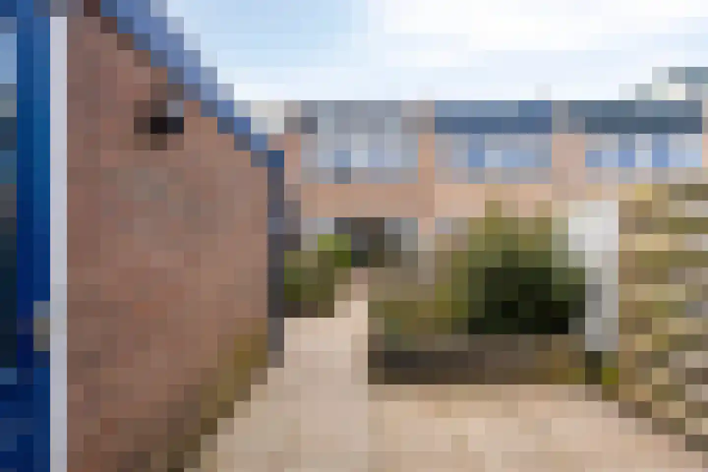 Opaal 50 Heerhugowaard thumbnail 26