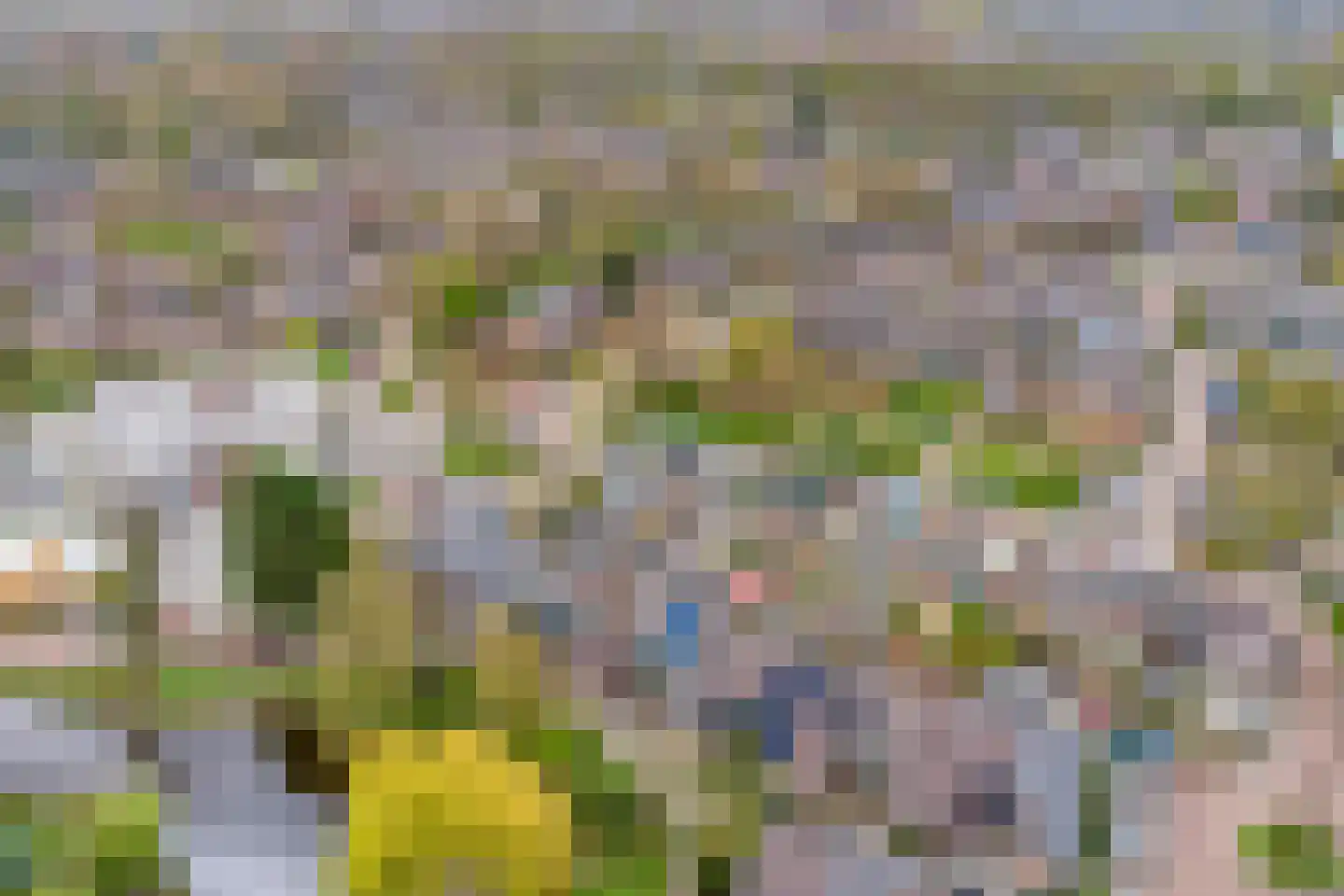 Opaal 50 Heerhugowaard thumbnail 28