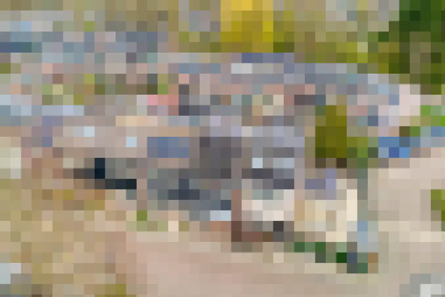 Opaal 50 Heerhugowaard thumbnail 31