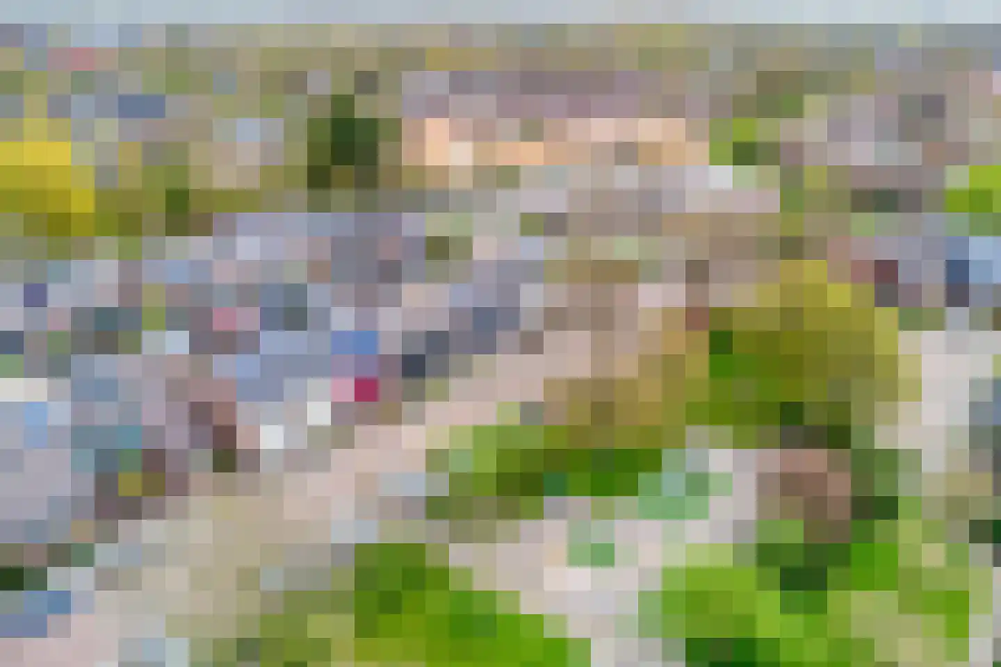 Opaal 50 Heerhugowaard thumbnail 32