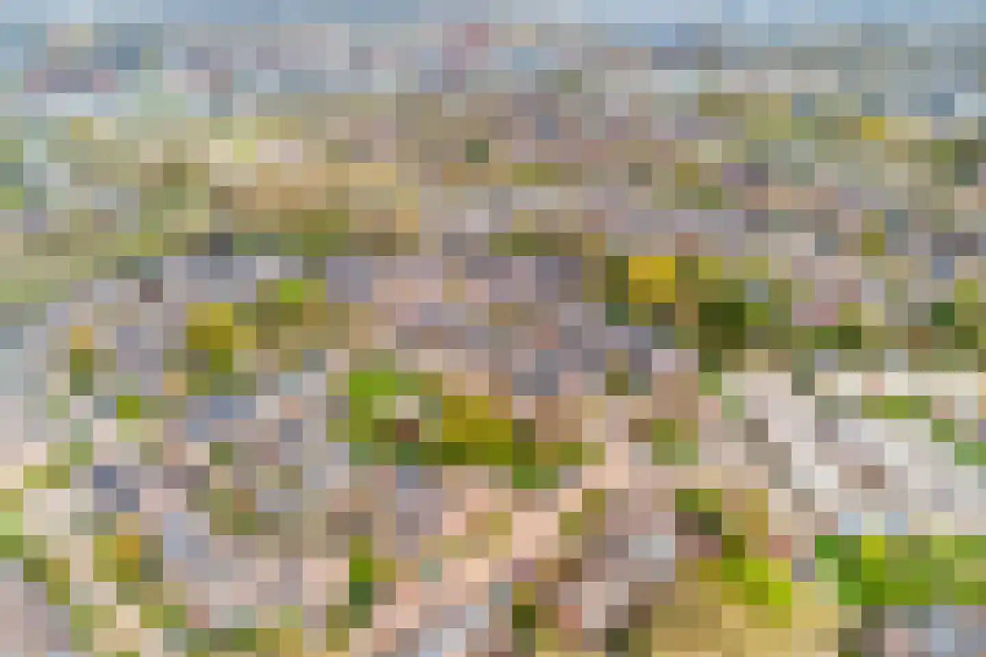 Opaal 50 Heerhugowaard thumbnail 33