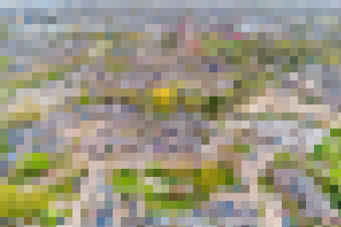 Opaal 50 Heerhugowaard thumbnail 34