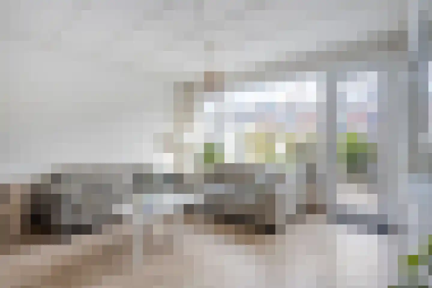 Opaal 50 Heerhugowaard thumbnail 5