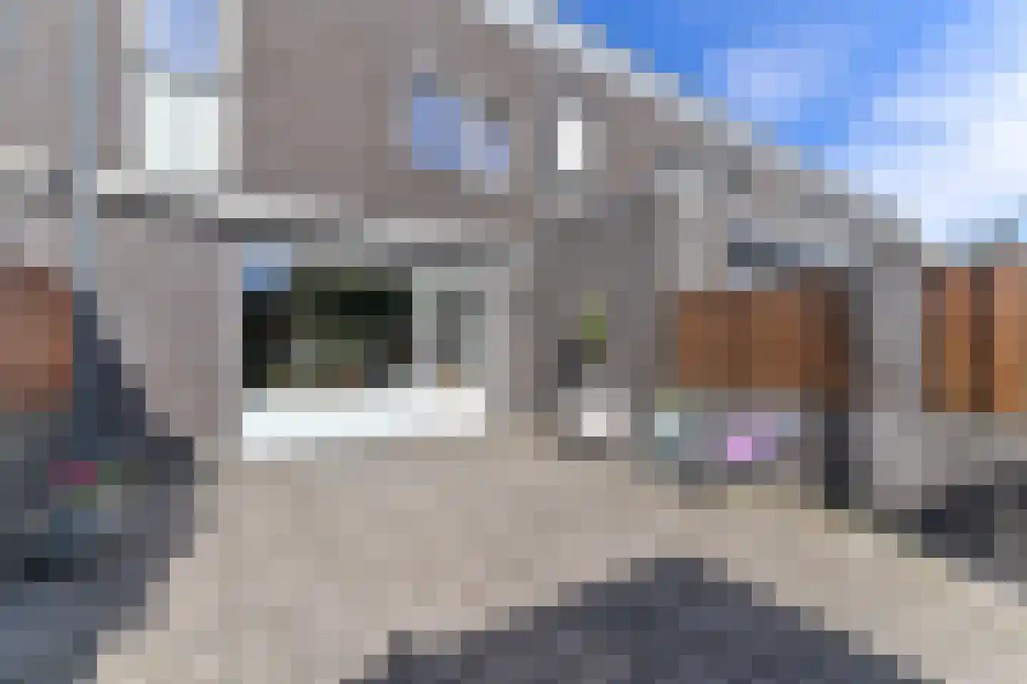 Opaal 6 Venlo thumbnail 11