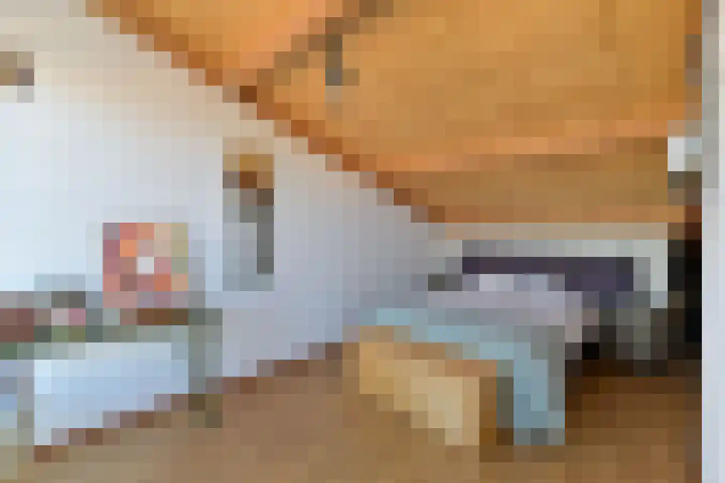 Opaal 6 Venlo thumbnail 19