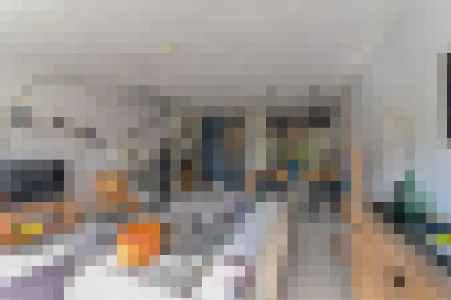 Opaal 6 Venlo thumbnail 6