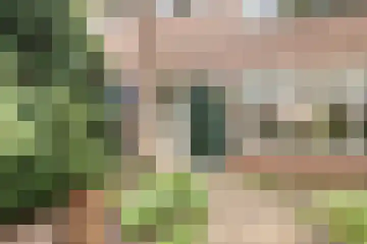 Opaal 9 Heerhugowaard thumbnail 10